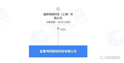 盛躍網絡布局贛西，宜春科技公司成立開啟區域業務新篇章